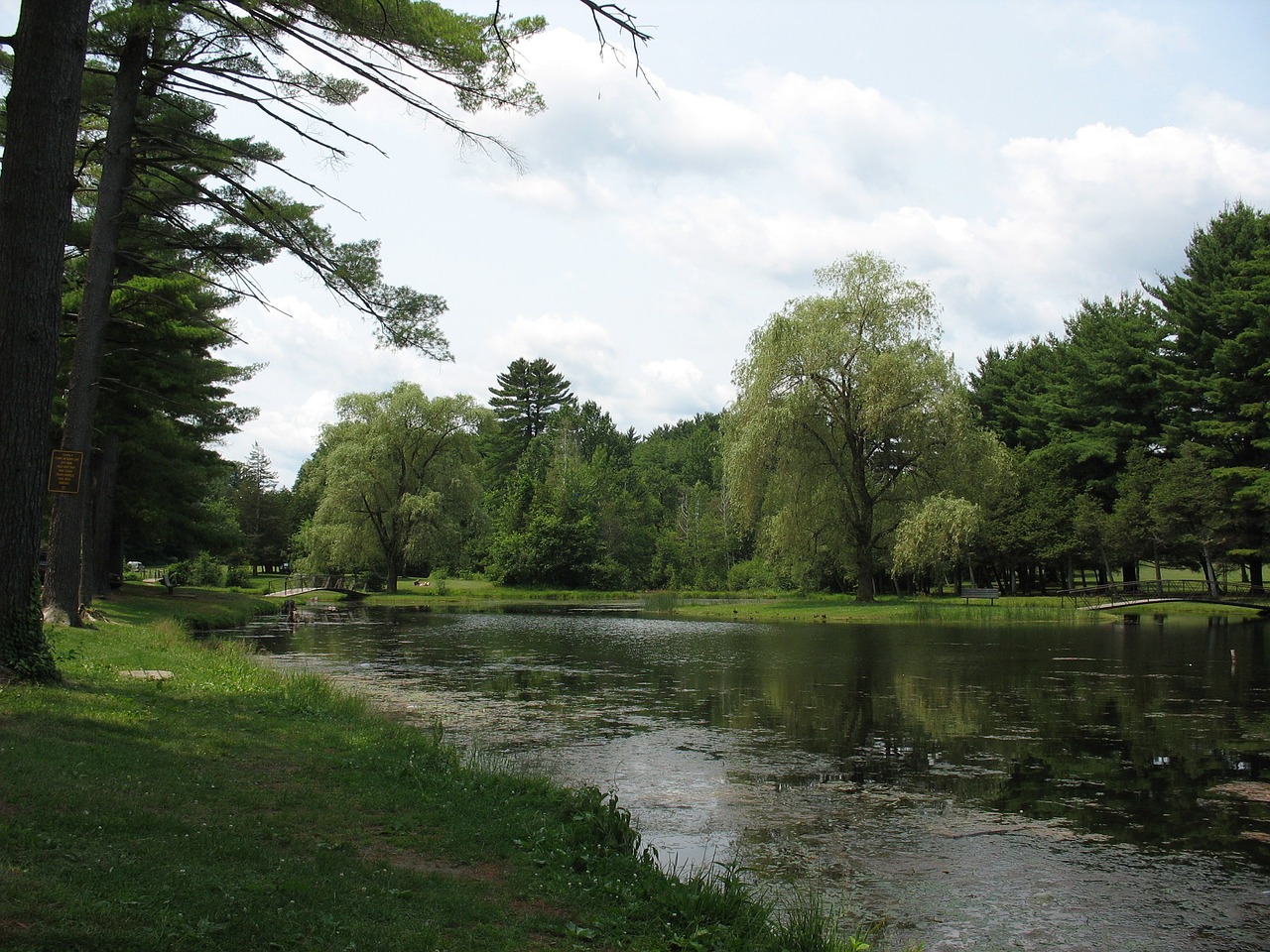 small green pond landscape park free photo