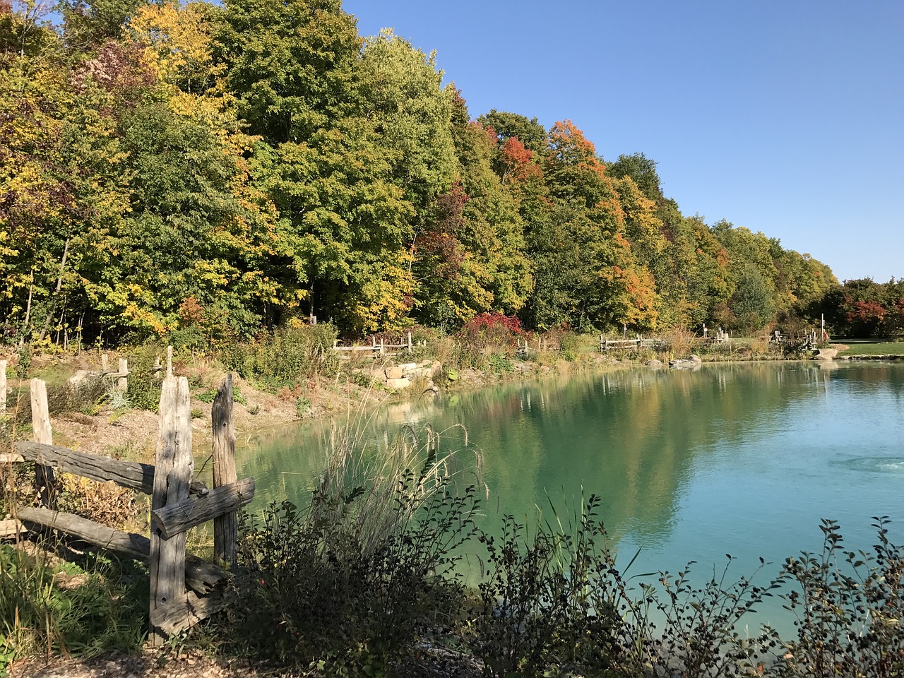 pond autumn fall free photo