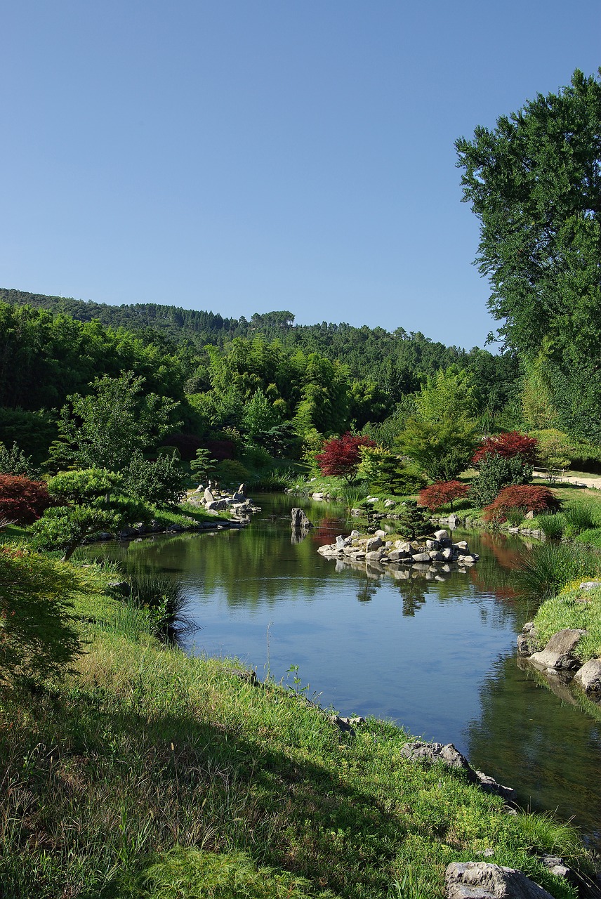 pond nature landscape free photo