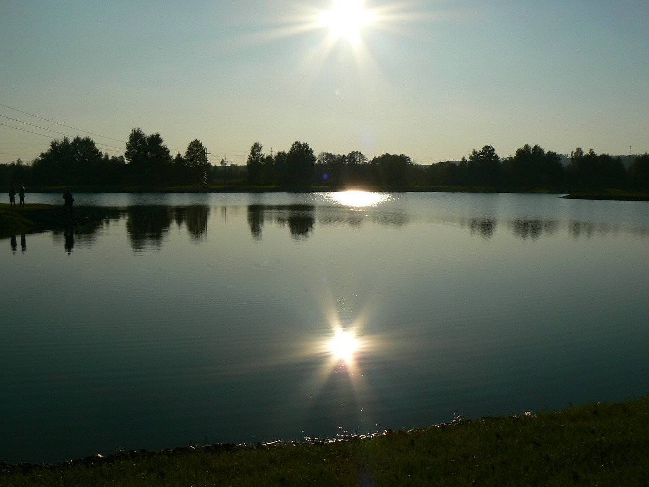 pond sun water free photo