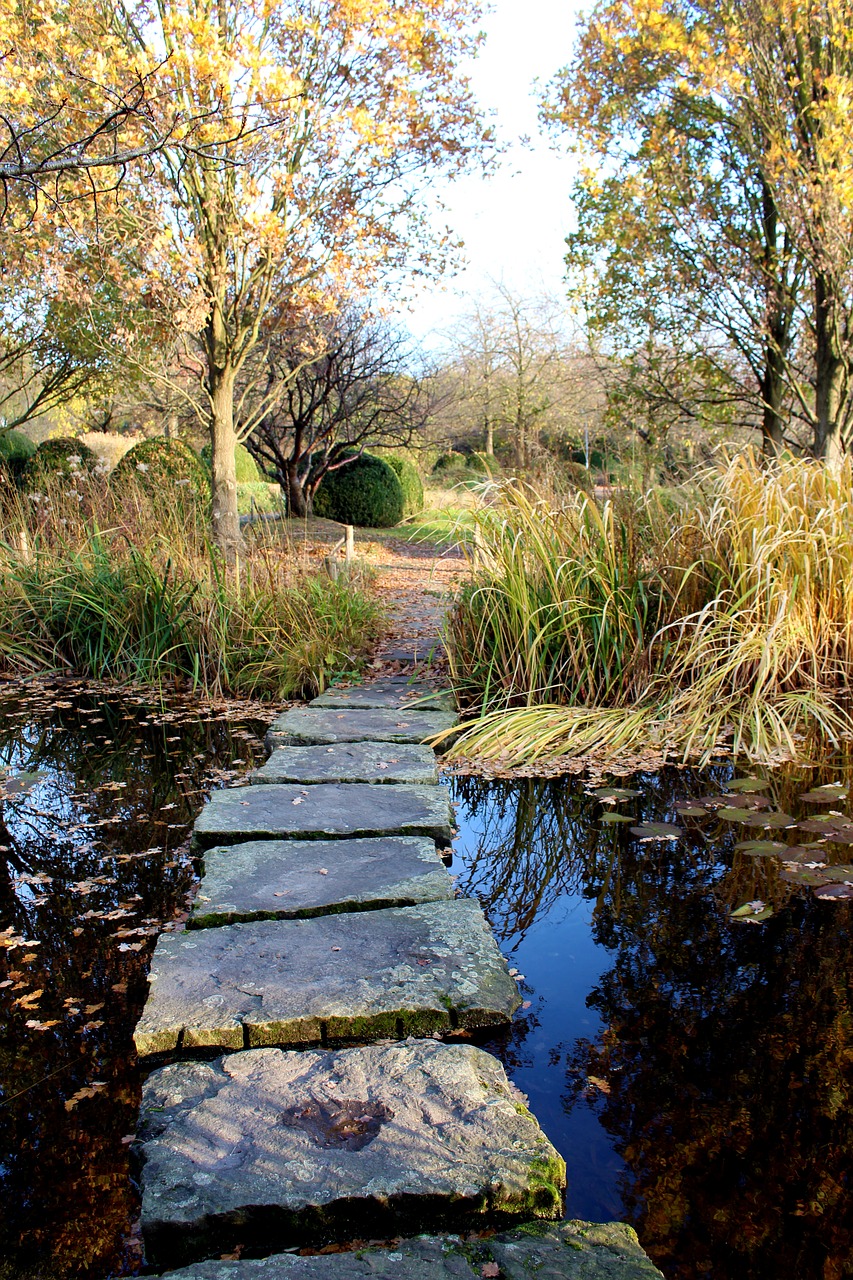 pond away landscape free photo