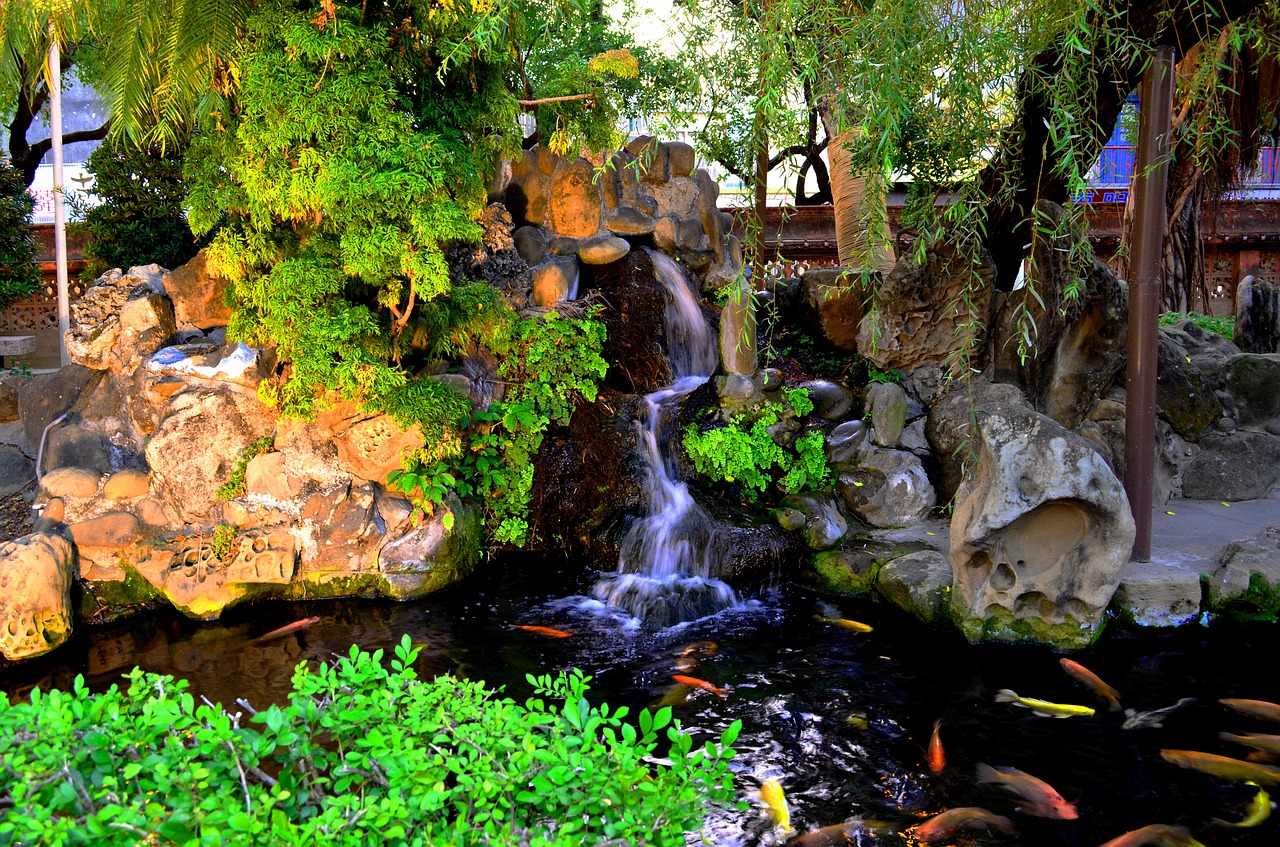 pond koi waterfall free photo