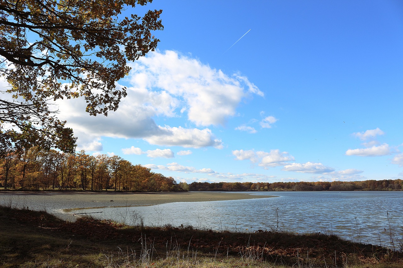 pond bank landscape free photo