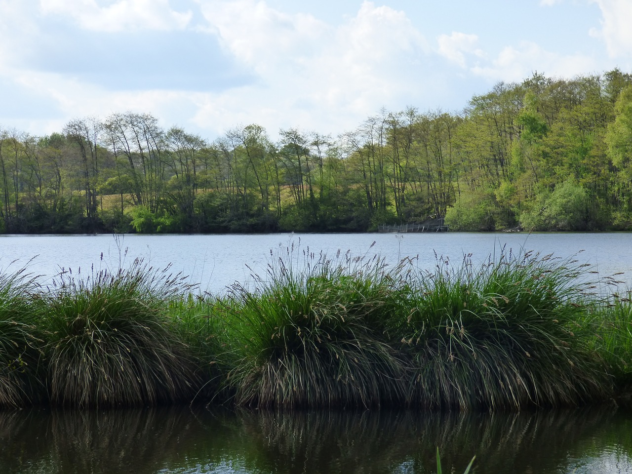 pond the bars saint-sauveur-en-puisaye free photo