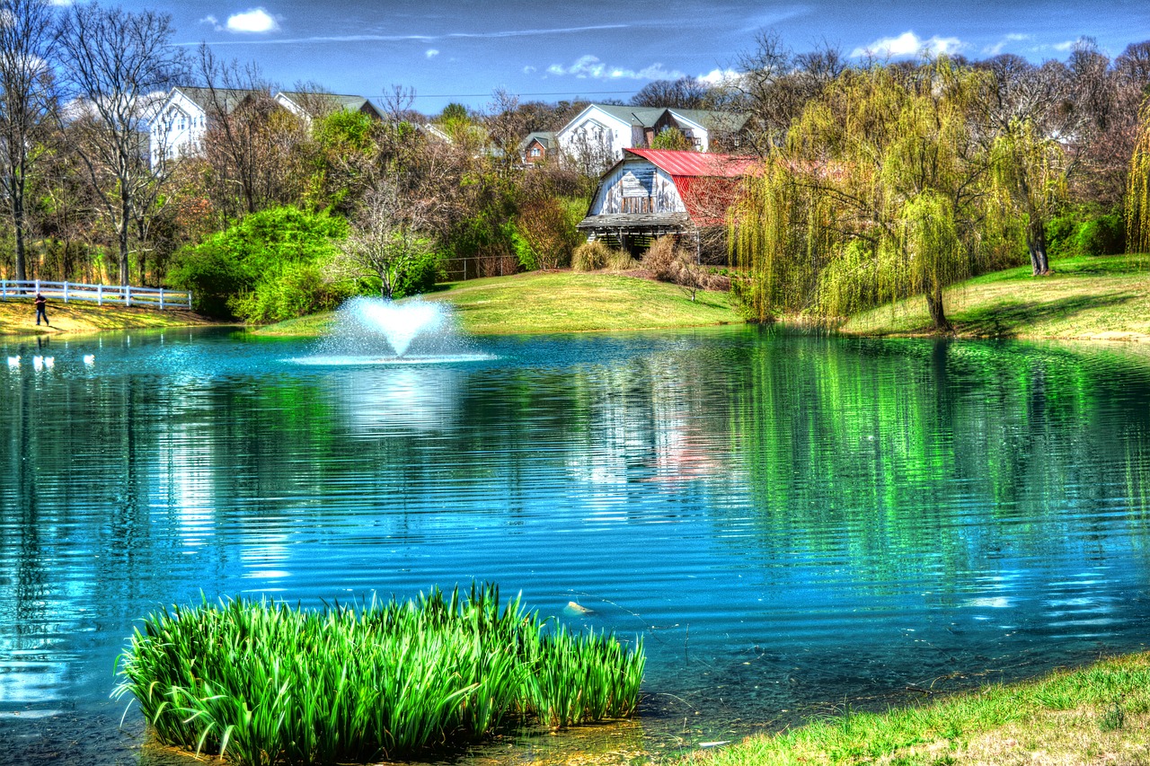 pond barn fishing free photo