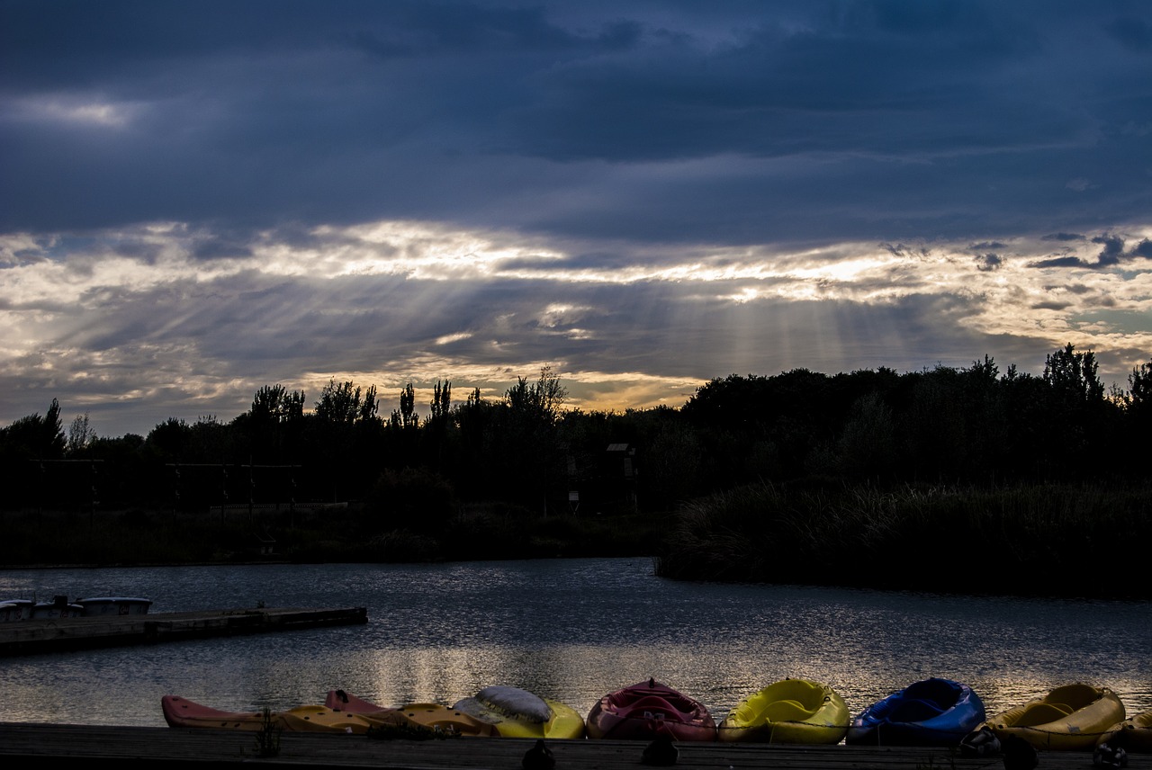 pond water lake free photo