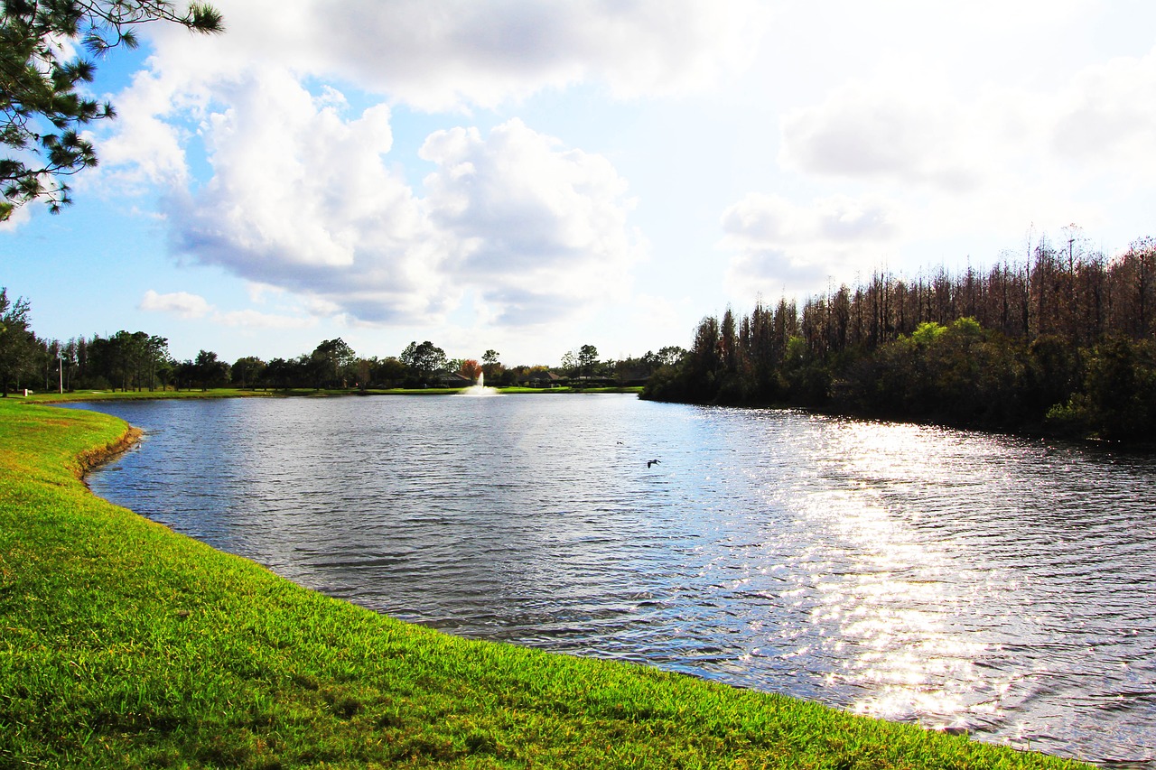 pond lake fountain free photo