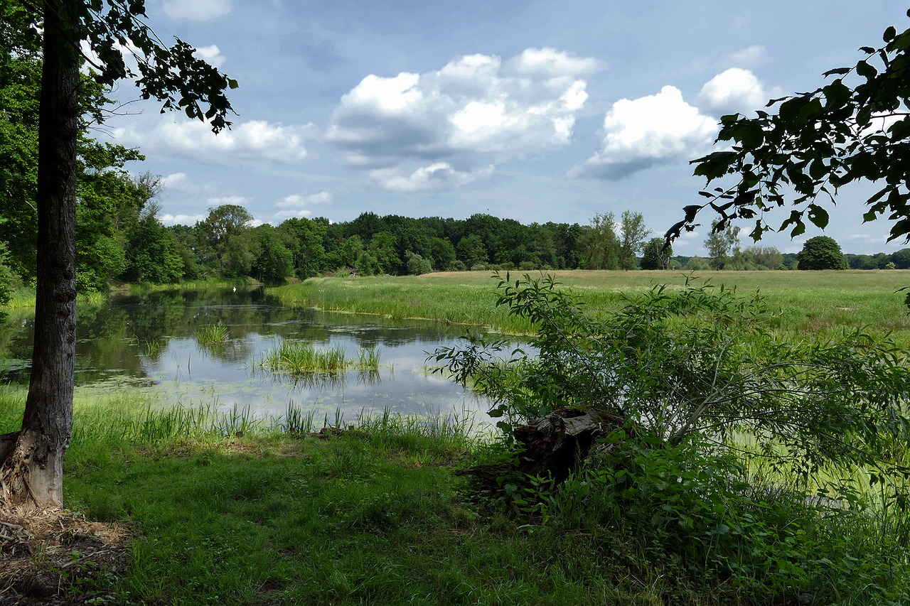 pond lake landscape free photo