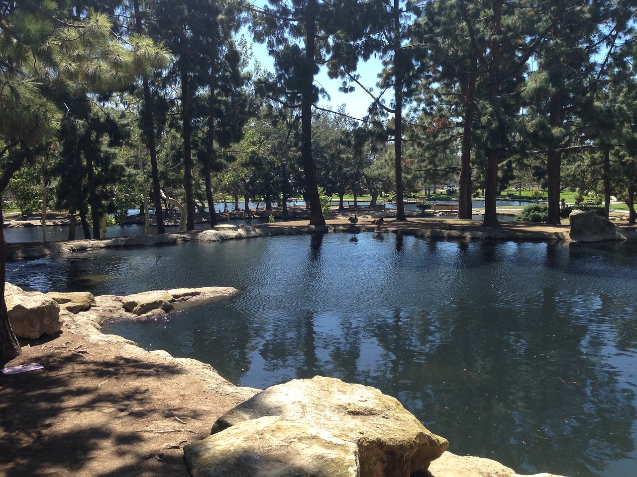 pond california outdoors free photo