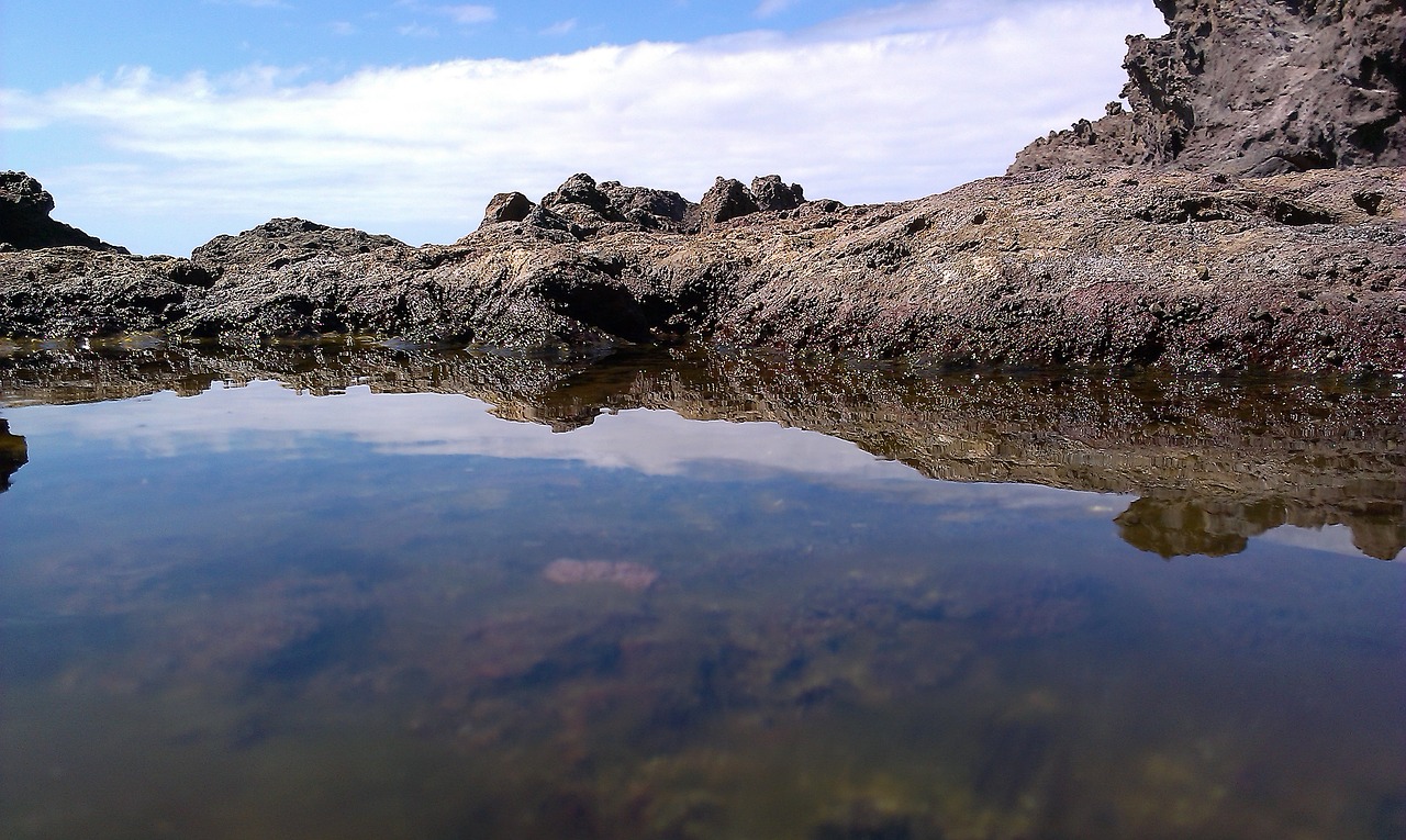 pond rocks sea free photo