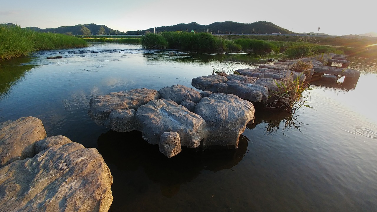 pond water nature free photo