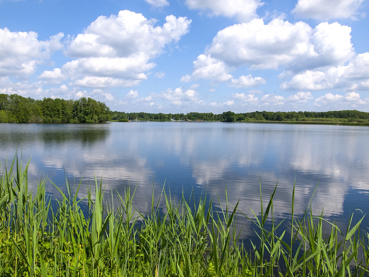 pond landscape clouds free photo