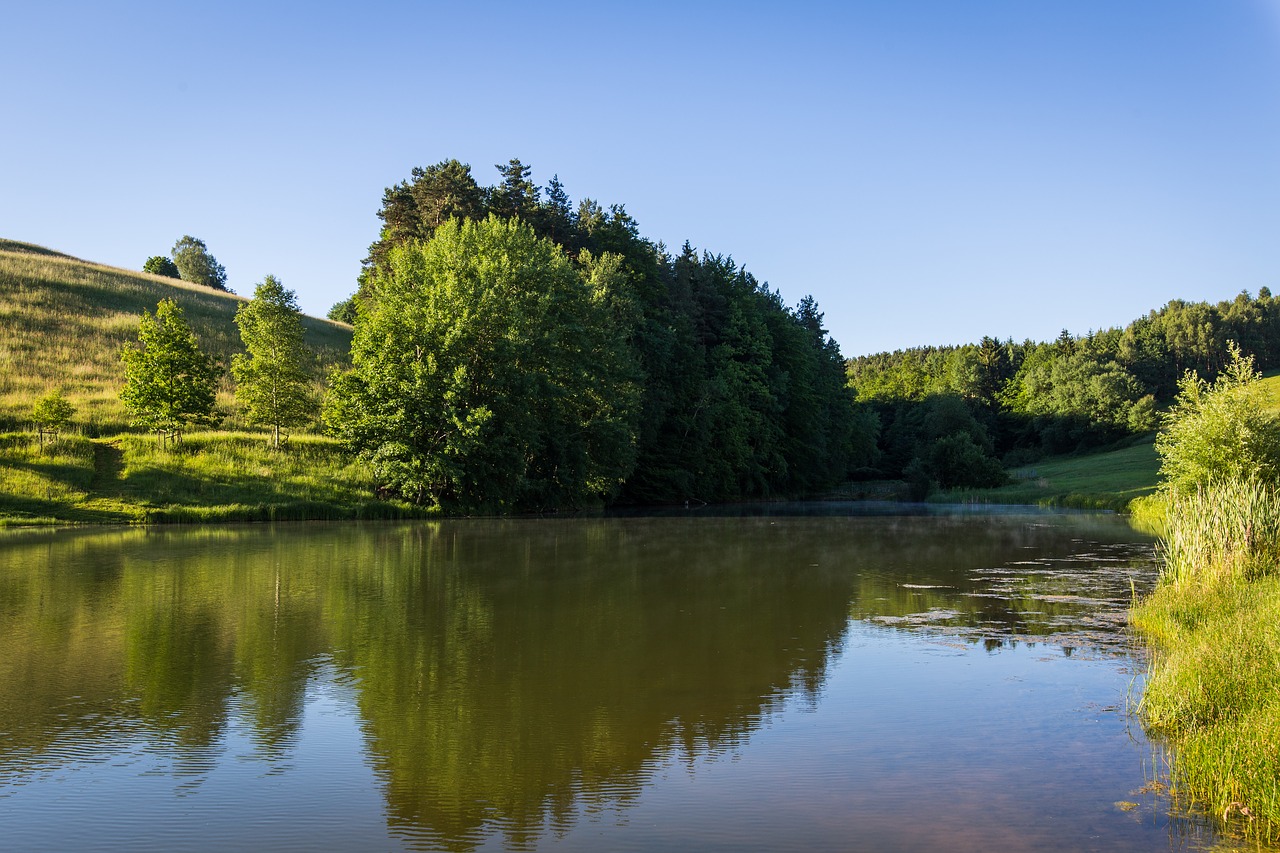 pond field water free photo