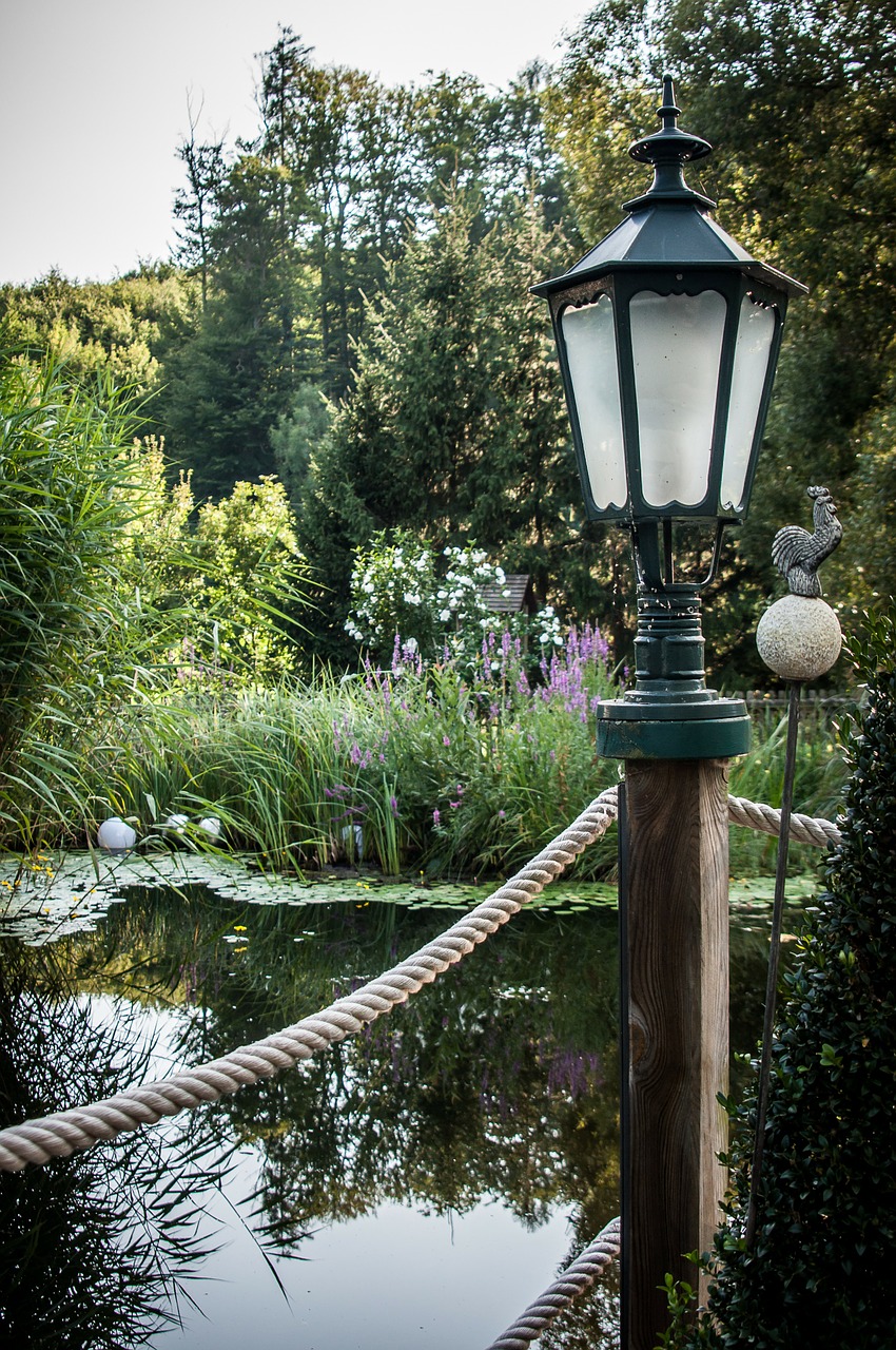 pond lamp teichplanze free photo