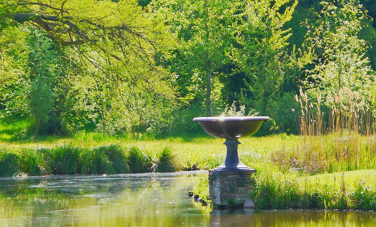 pond waters lake free photo