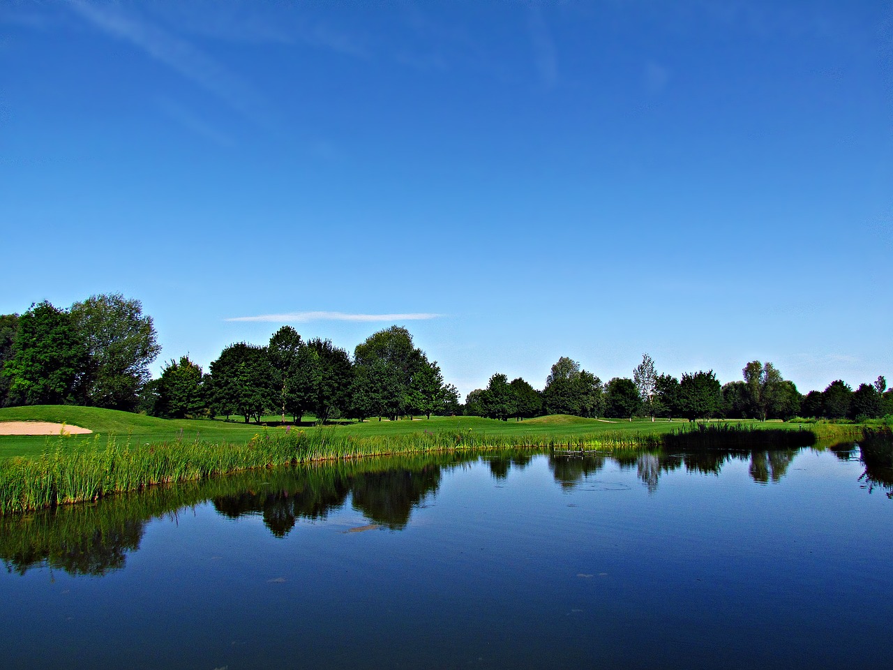 pond water field free photo