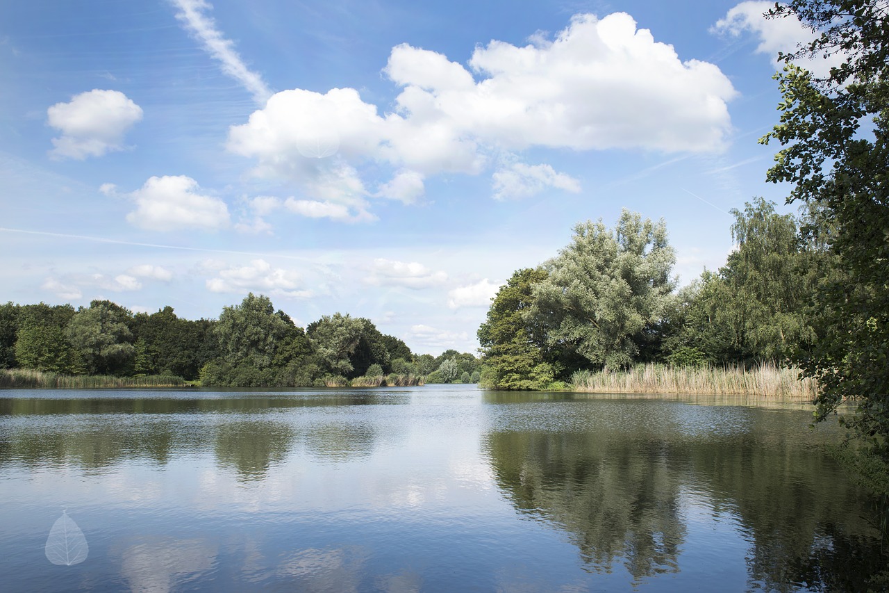 pond water clouds free photo