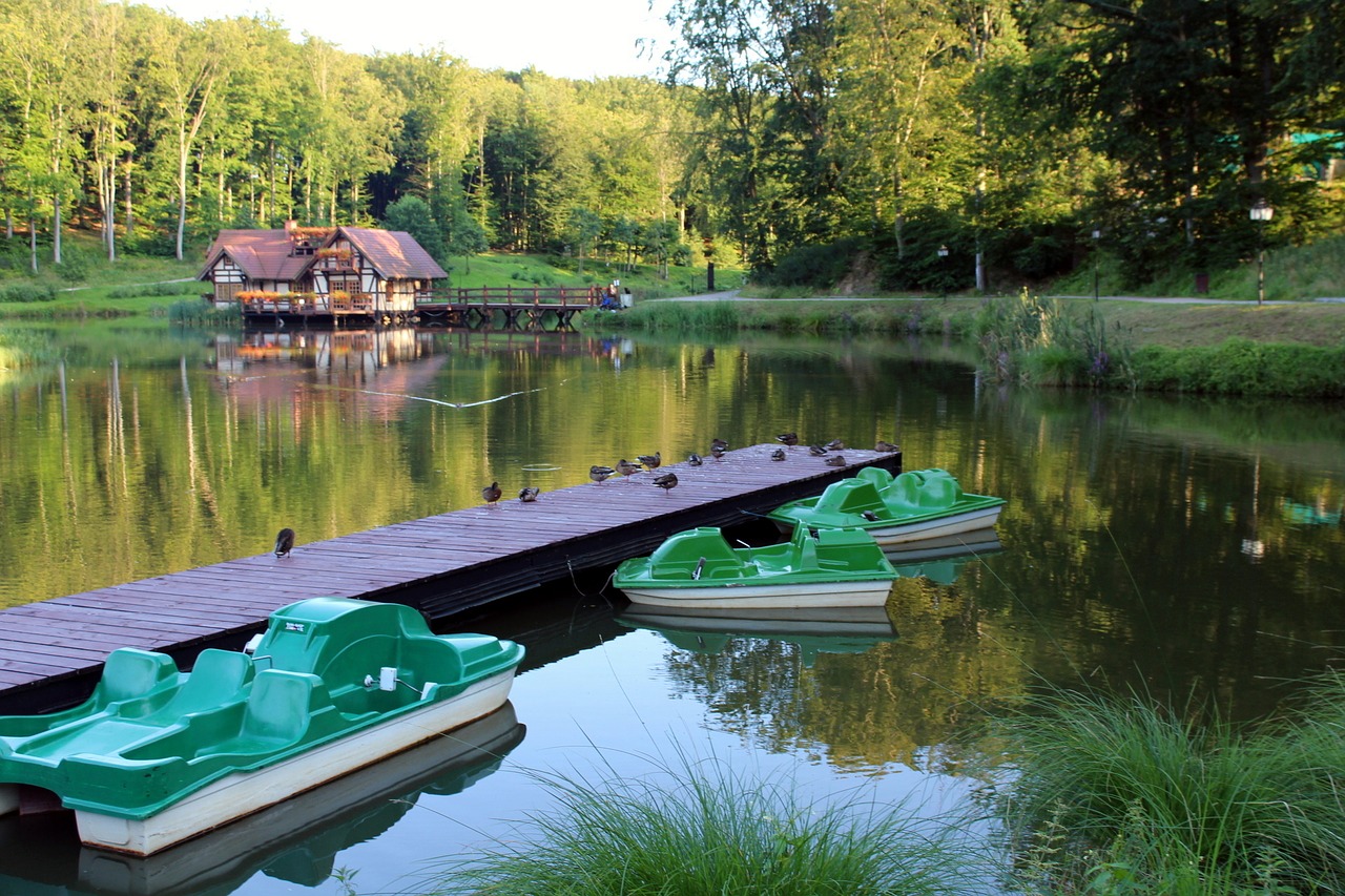 pond rest tourism free photo