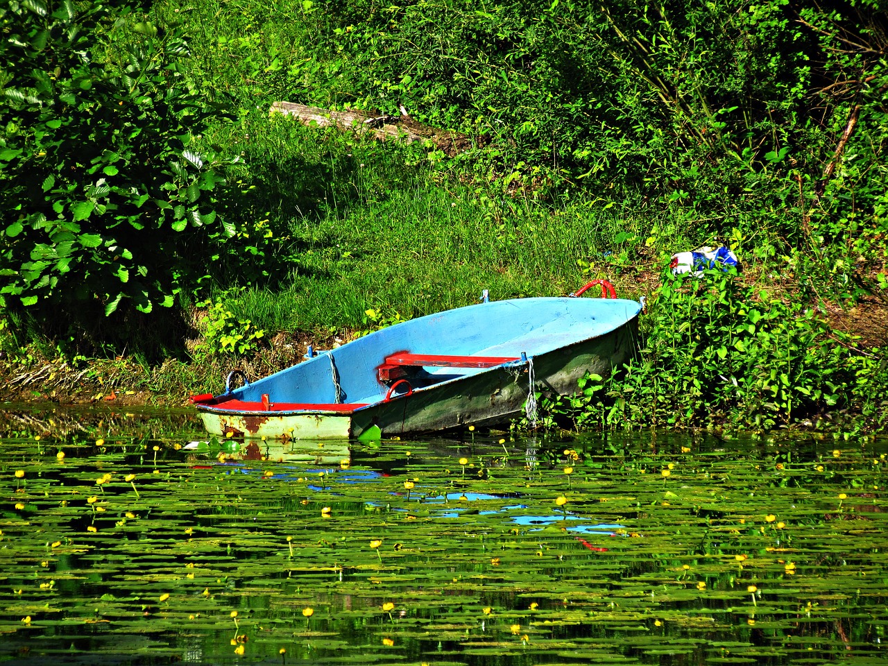 pond boat haven free photo