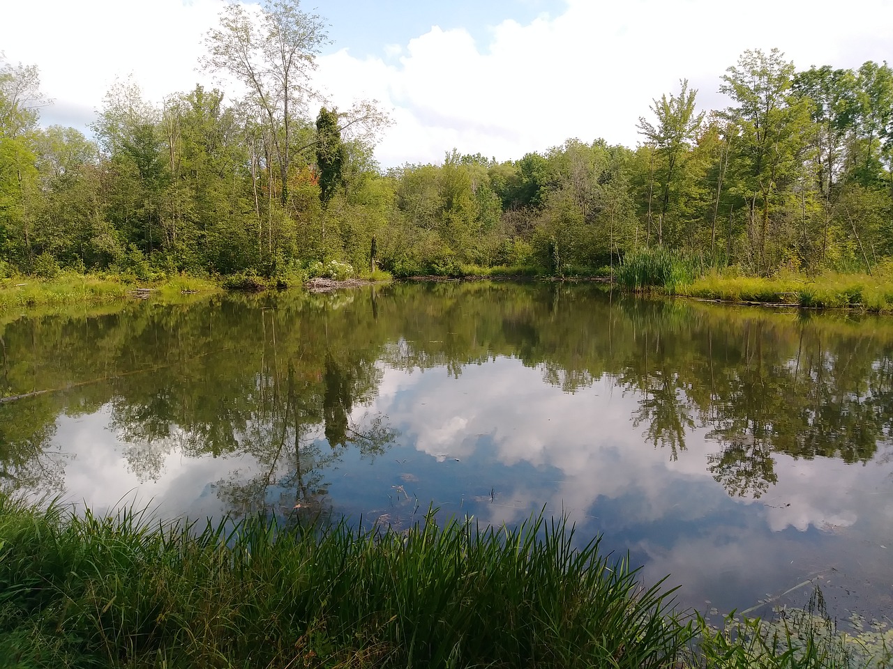 pond nature reflections free photo