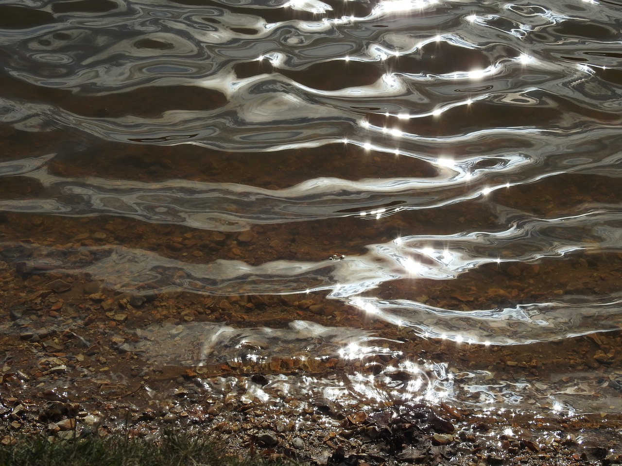 pond water lake free photo