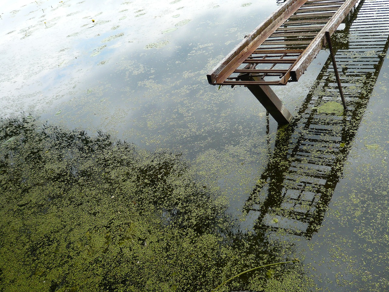 pond river boat free photo