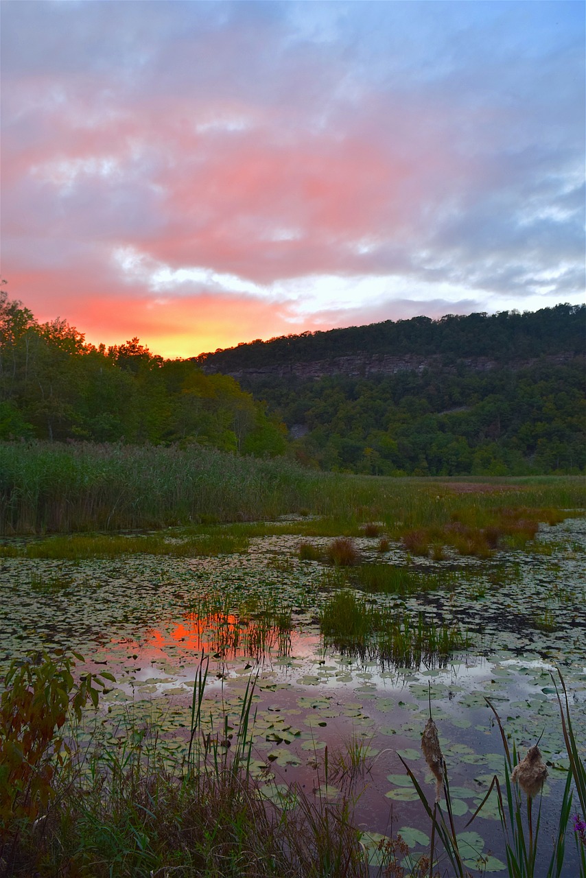 pond sunset sky free photo