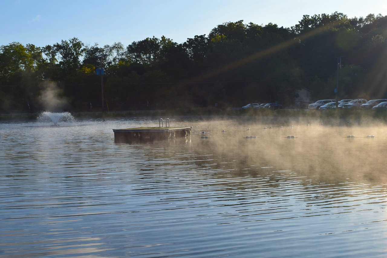 pond sunrise fountain free photo