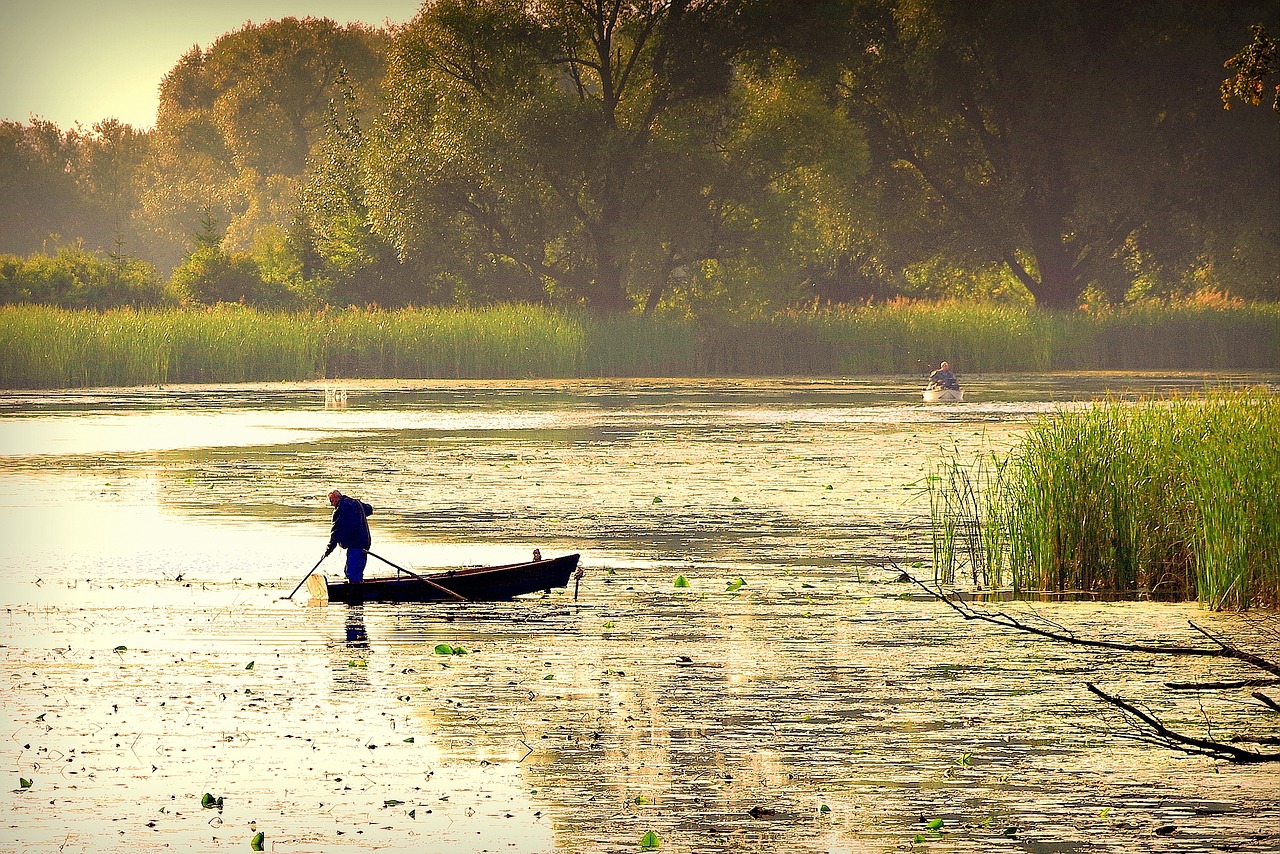 pond lake the fisherman free photo