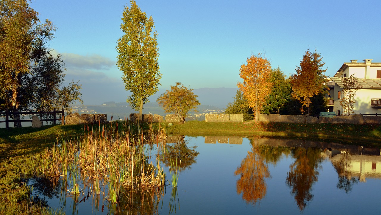 pond mountain trees free photo