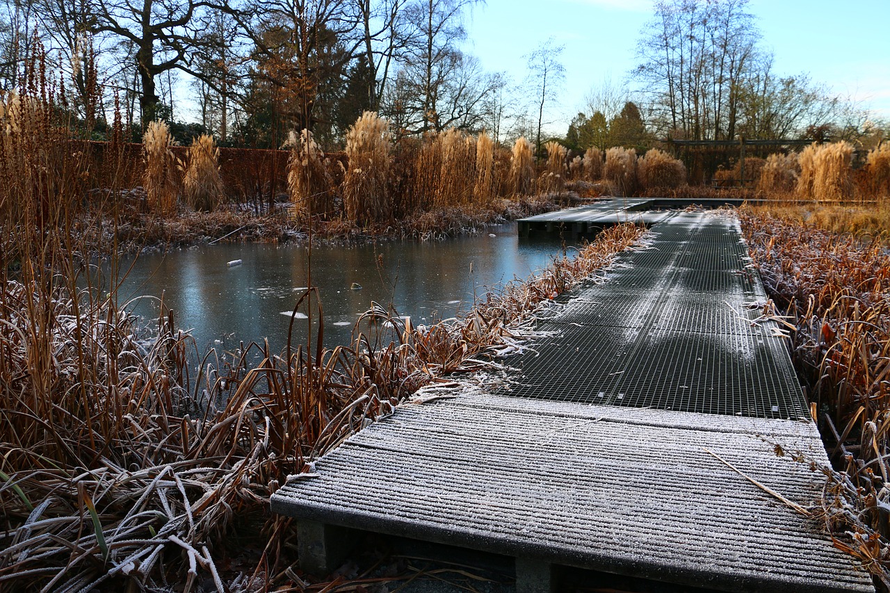 pond winter ice free photo