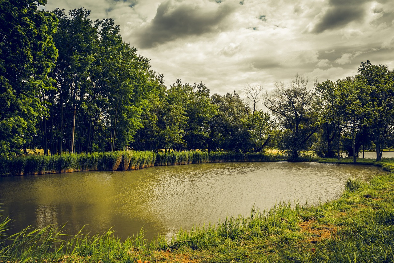 pond clouds trees free photo