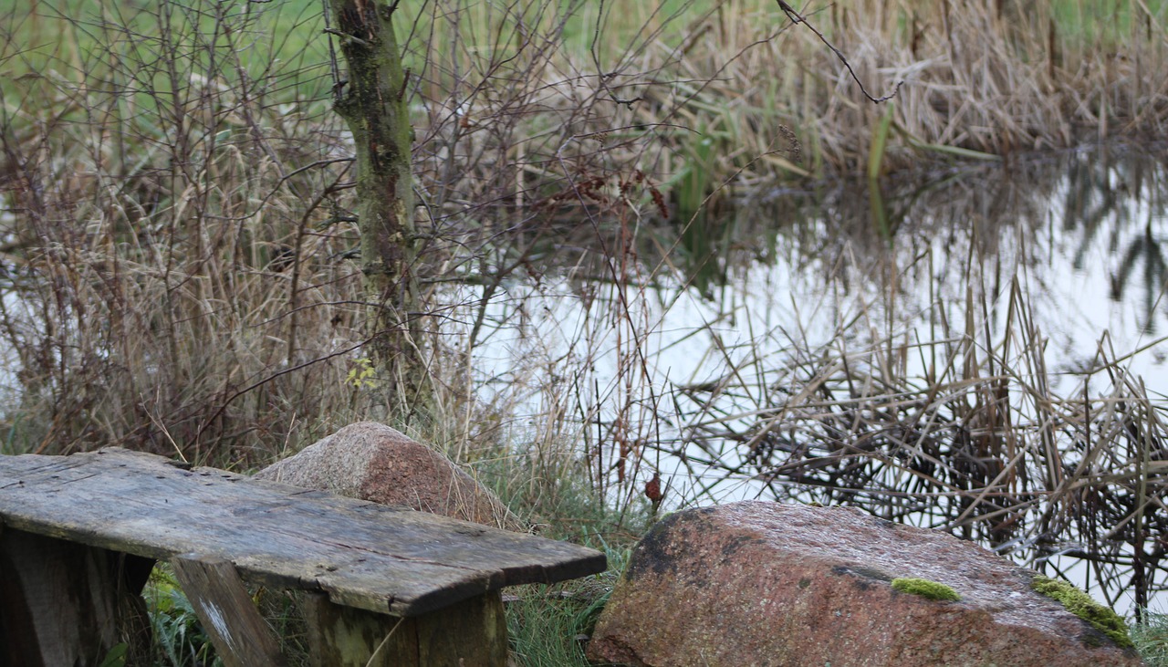 pond  bench  rock free photo