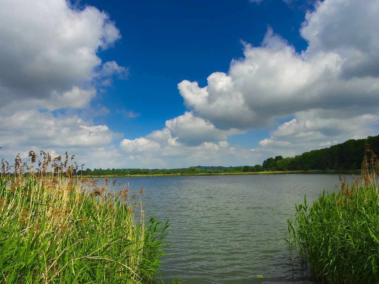 pond water clouds free photo