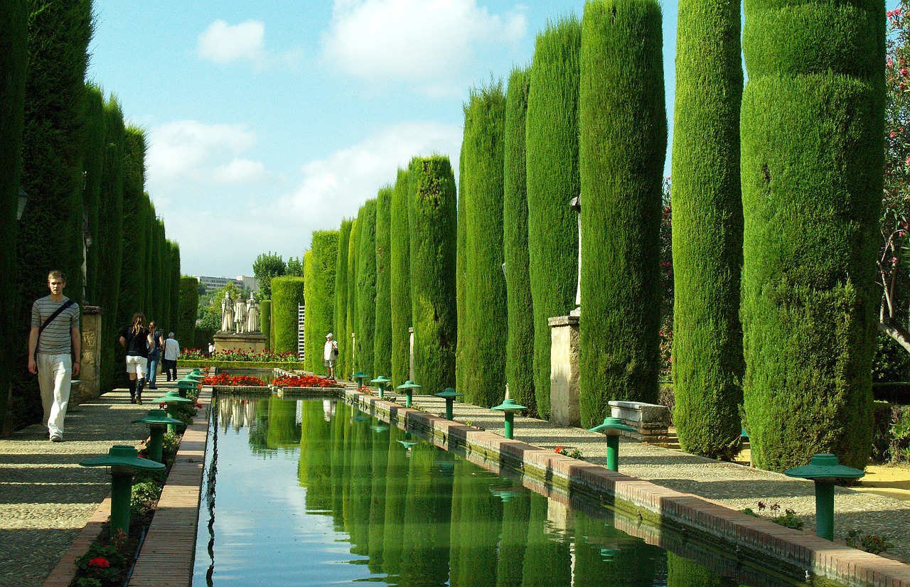 pond cordoba water free photo