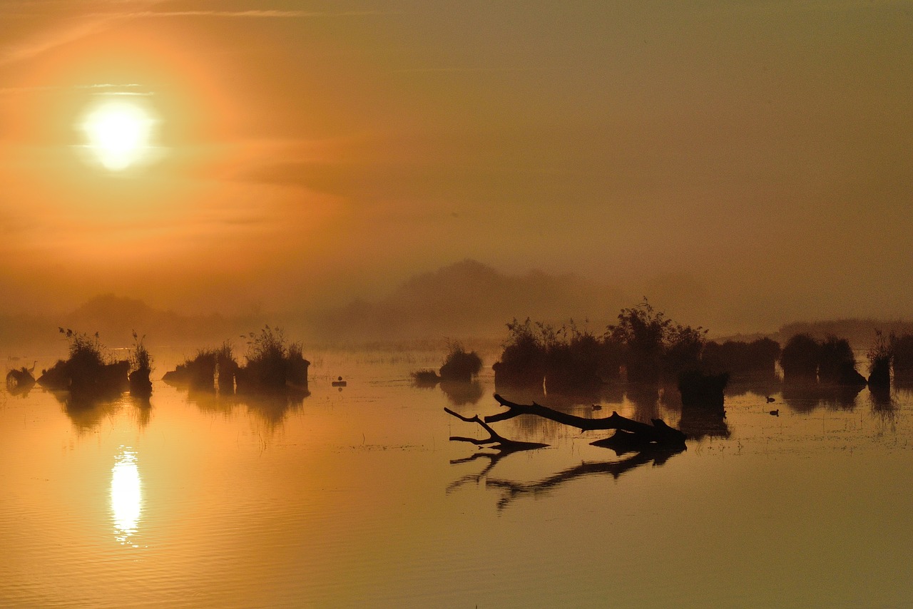 pond  sunrise  sky free photo