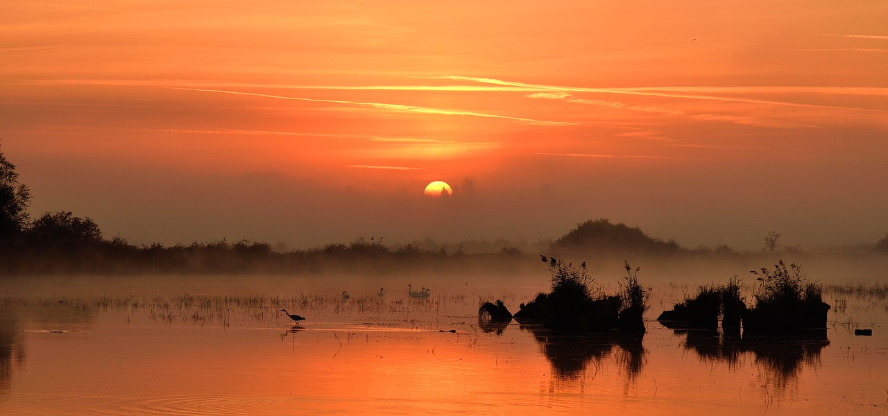 pond  sun  landscape free photo