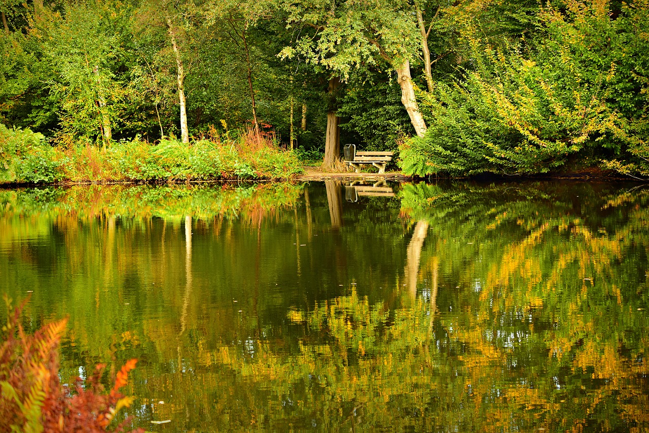 pond  water  banks free photo