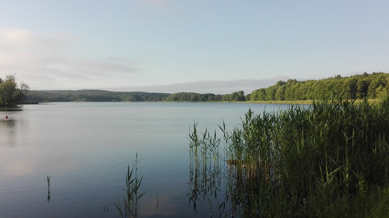 pond  sunrise  nature free photo