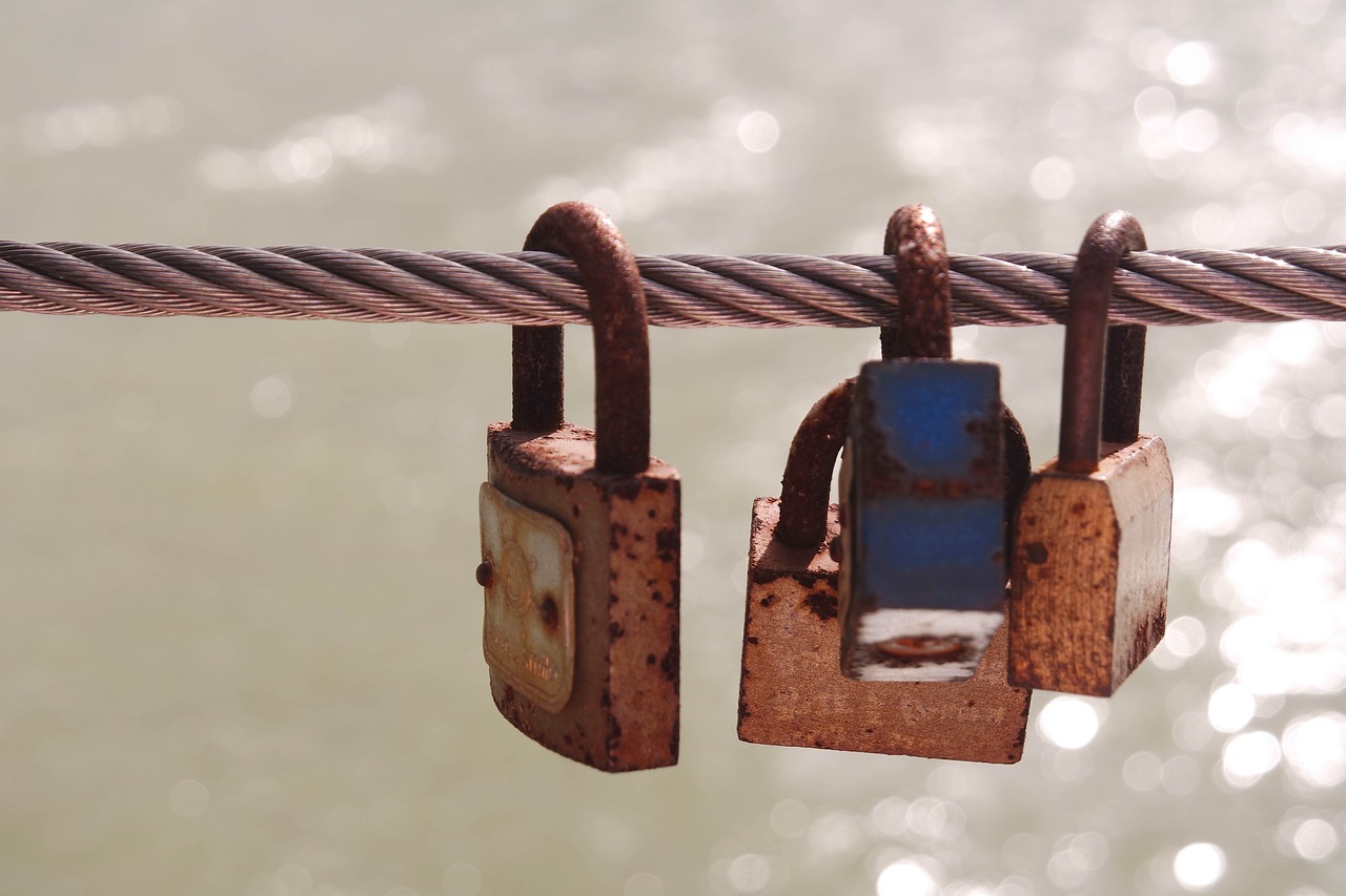 pond  lock  water free photo