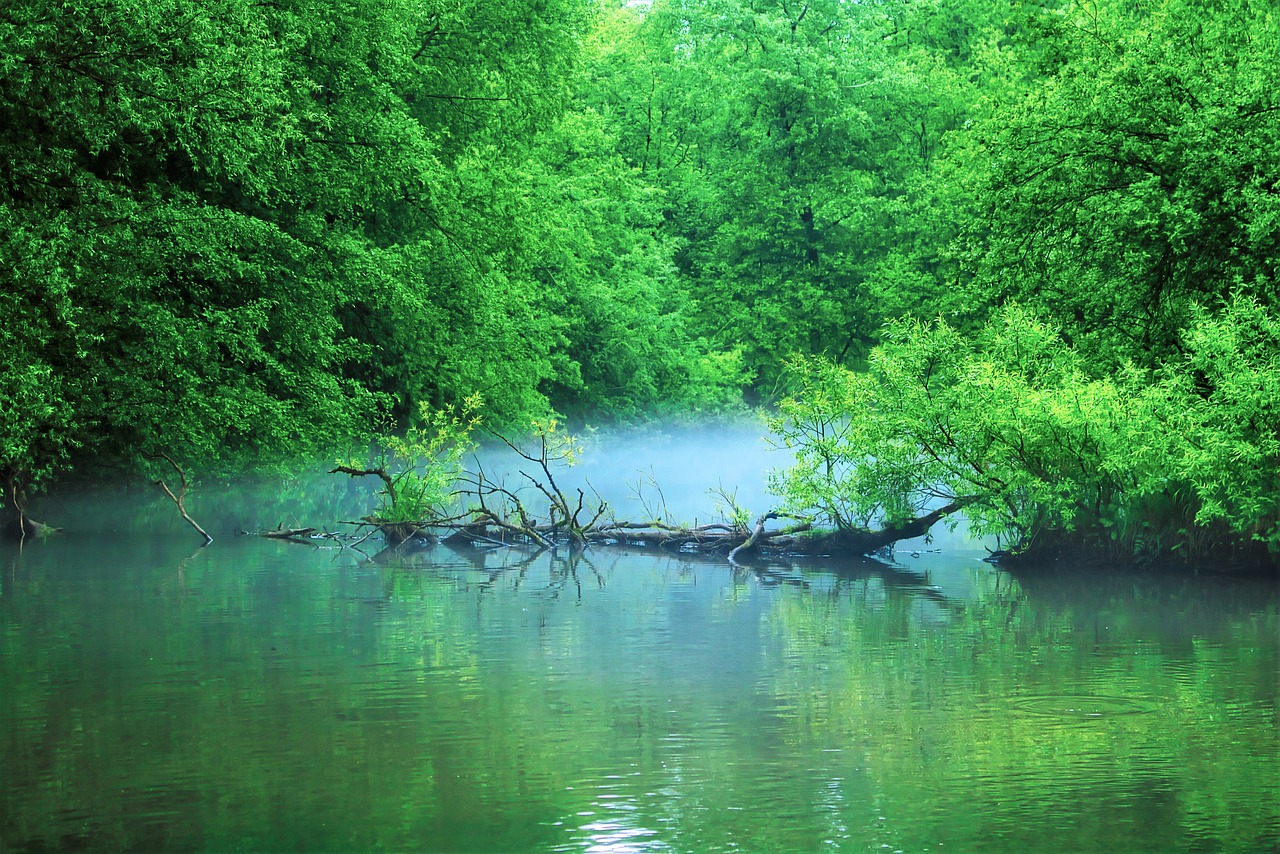 pond  trees  landscape free photo