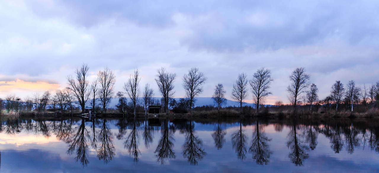 pond  water  nature free photo