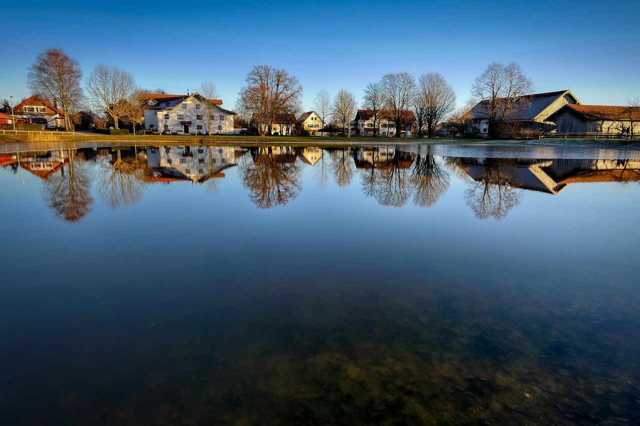 pond  water  mirroring free photo