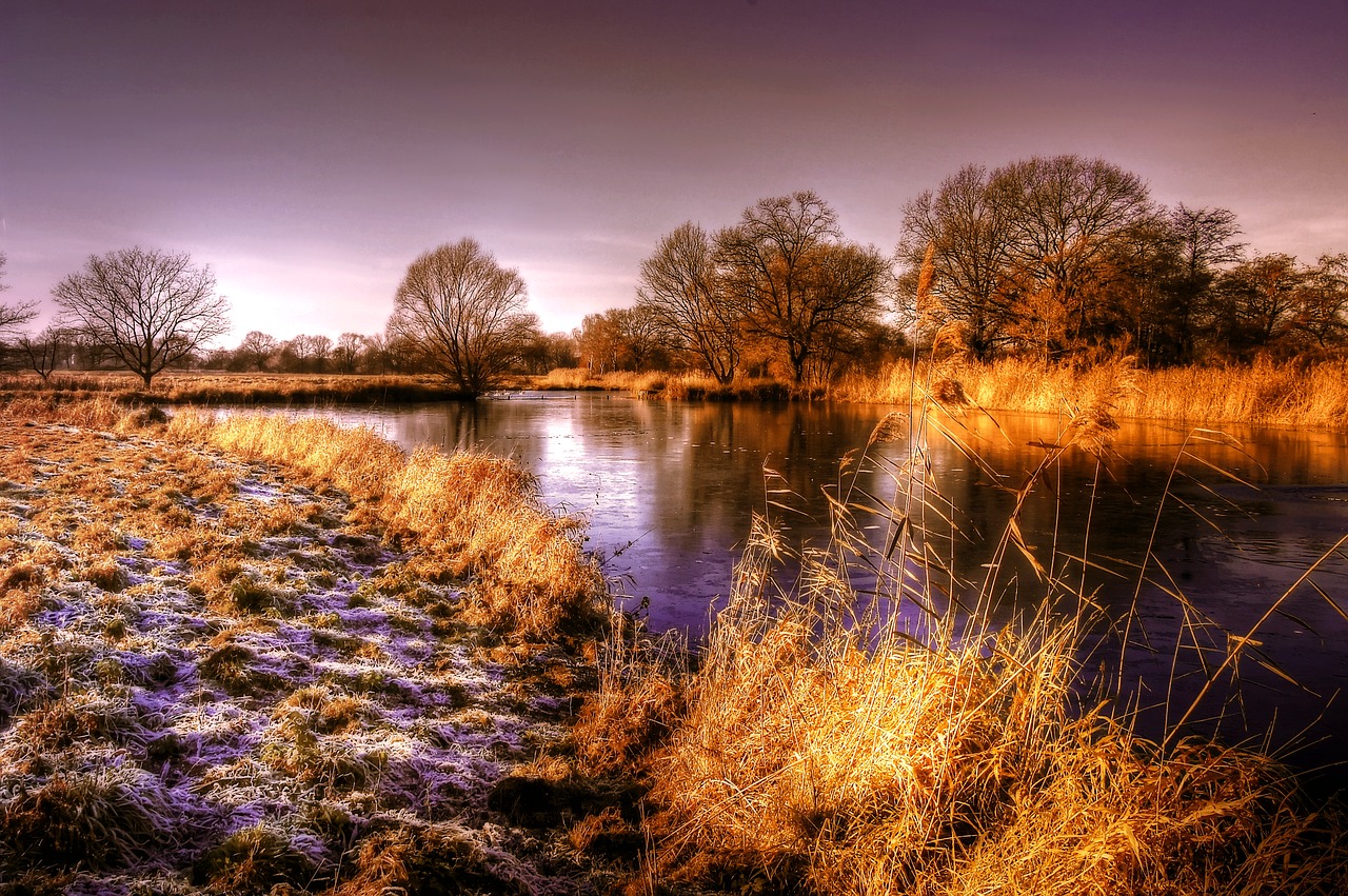 pond  sun  water free photo