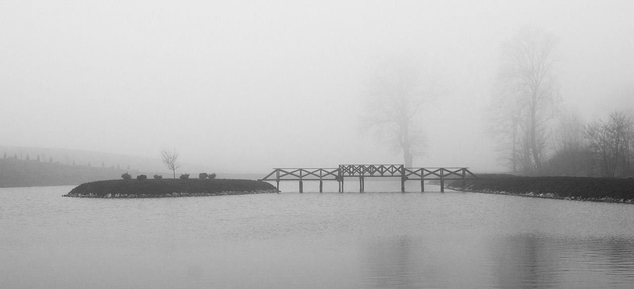 pond  bridge  water free photo