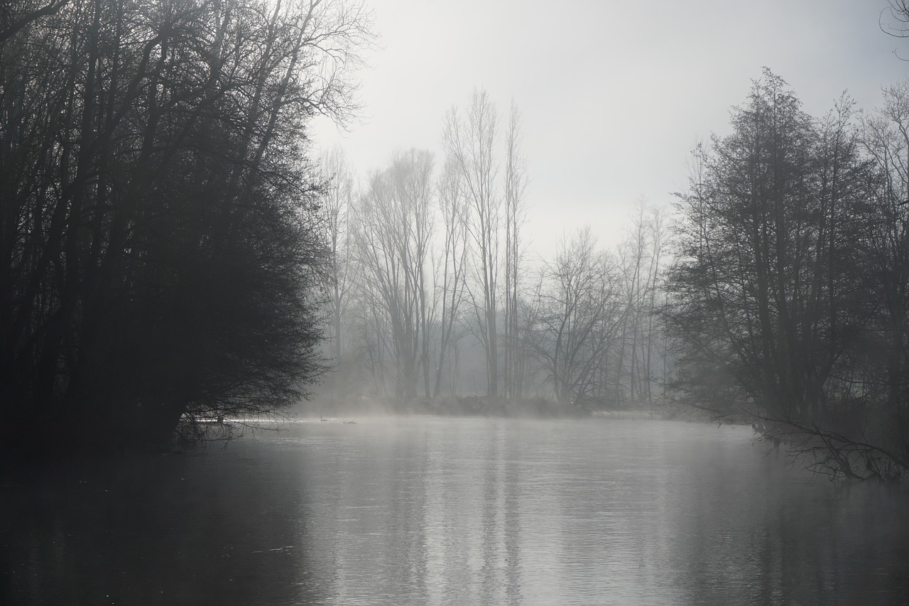 pond  winter  cold free photo