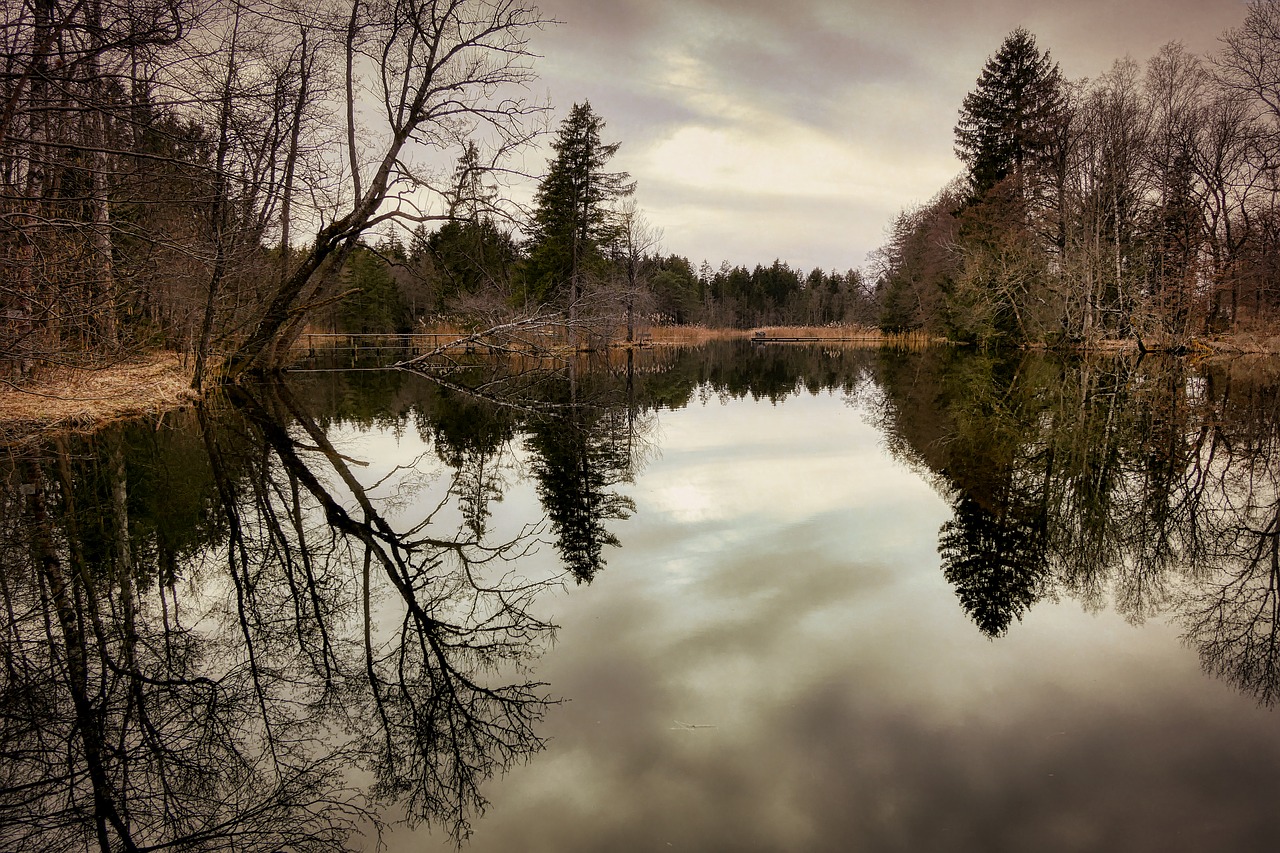 pond  lake  water free photo