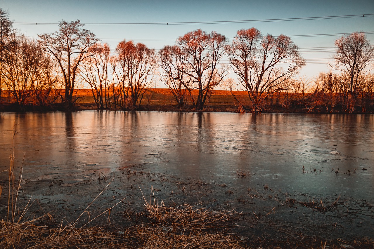 pond  lake  evening free photo