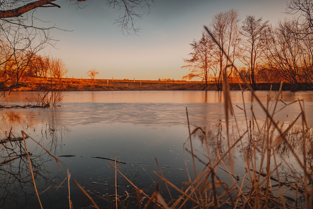 pond  lake  evening free photo