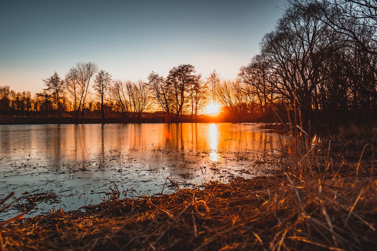 pond  lake  evening free photo